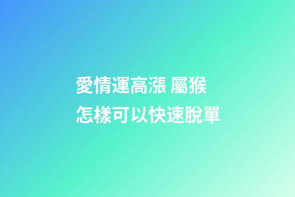 愛情運高漲 屬猴怎樣可以快速脫單